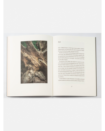 Kintobe - Milo Messenger - Earth Brown